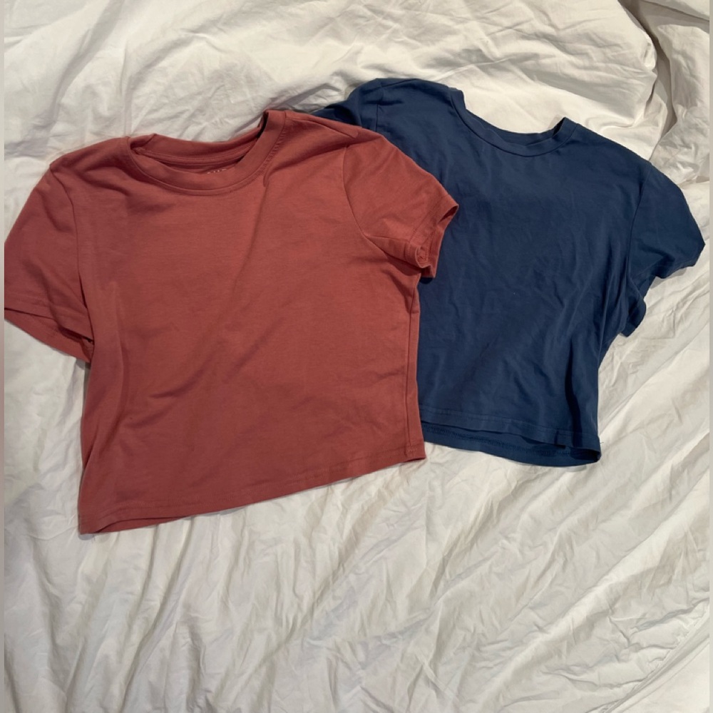 2 SHEIN (blue and pink) cropped t-shirts